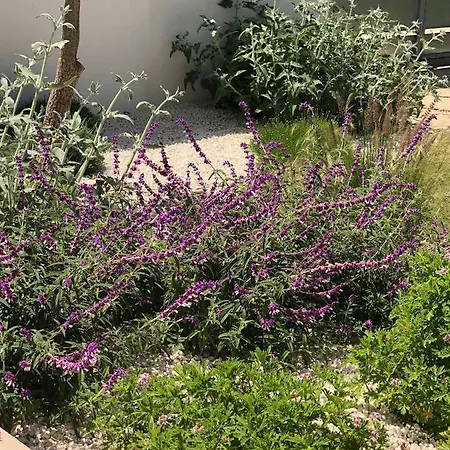 アパート San Lorenzo Marzamemi Cecilia